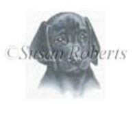 click here to view larger image of Black Lab Puppy (hand painted canvases)
