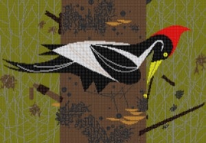 click here to view larger image of Ivory Billed Woodpecker (hand painted canvases)