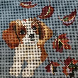 click here to view larger image of Fall Cavalier Pup (hand painted canvases)