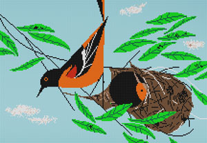 click here to view larger image of Baltimore Oriole (hand painted canvases)