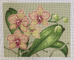 click here to view larger image of Orchids (hand painted canvases)