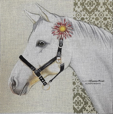 Equestrian Grey - click here for more details