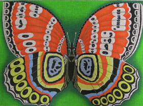 click here to view larger image of Butterfly Effect, The (hand painted canvases)