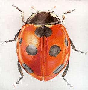 click here to view larger image of Big Bugs - Lady Bug (hand painted canvases)