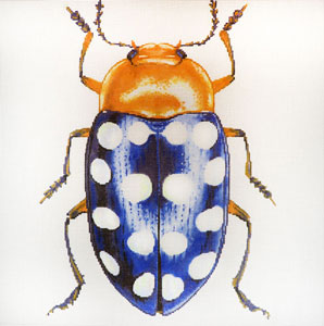 click here to view larger image of Big Bugs - Blue with White Dots (hand painted canvases)