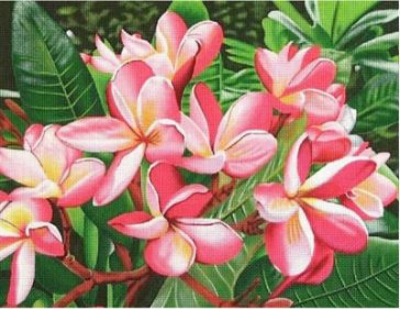 click here to view larger image of Pink Blossoms (hand painted canvases)