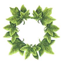 click here to view larger image of Ivy Wreath  (hand painted canvases)