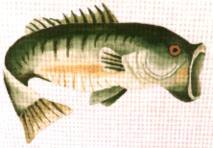 click here to view larger image of Largemouth Bass (hand painted canvases)