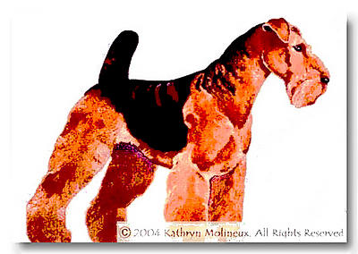 click here to view larger image of Welsh Terrier [Airedale] (hand painted canvases)