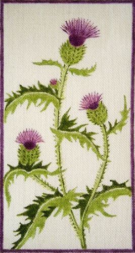 click here to view larger image of Scottish Thistle-Tall (hand painted canvases)