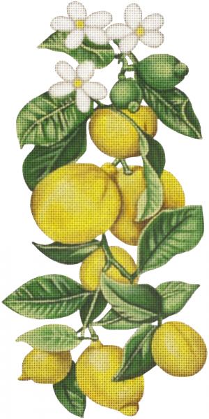 click here to view larger image of Lemons (hand painted canvases)