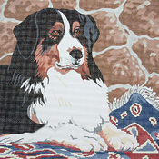 click here to view larger image of Bernese Mountain Dog (hand painted canvases)