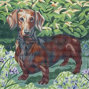 click here to view larger image of Short-haired Dachshund (hand painted canvases)