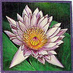 click here to view larger image of Cape Blue Waterlily (hand painted canvases)