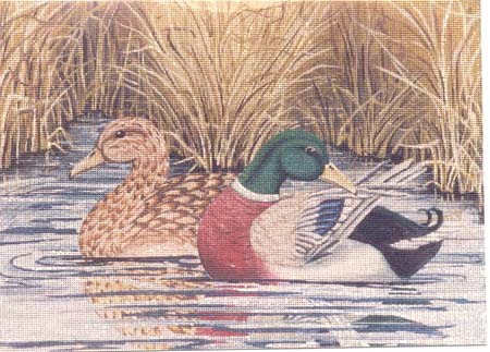 click here to view larger image of Mallards in Reeds (hand painted canvases)