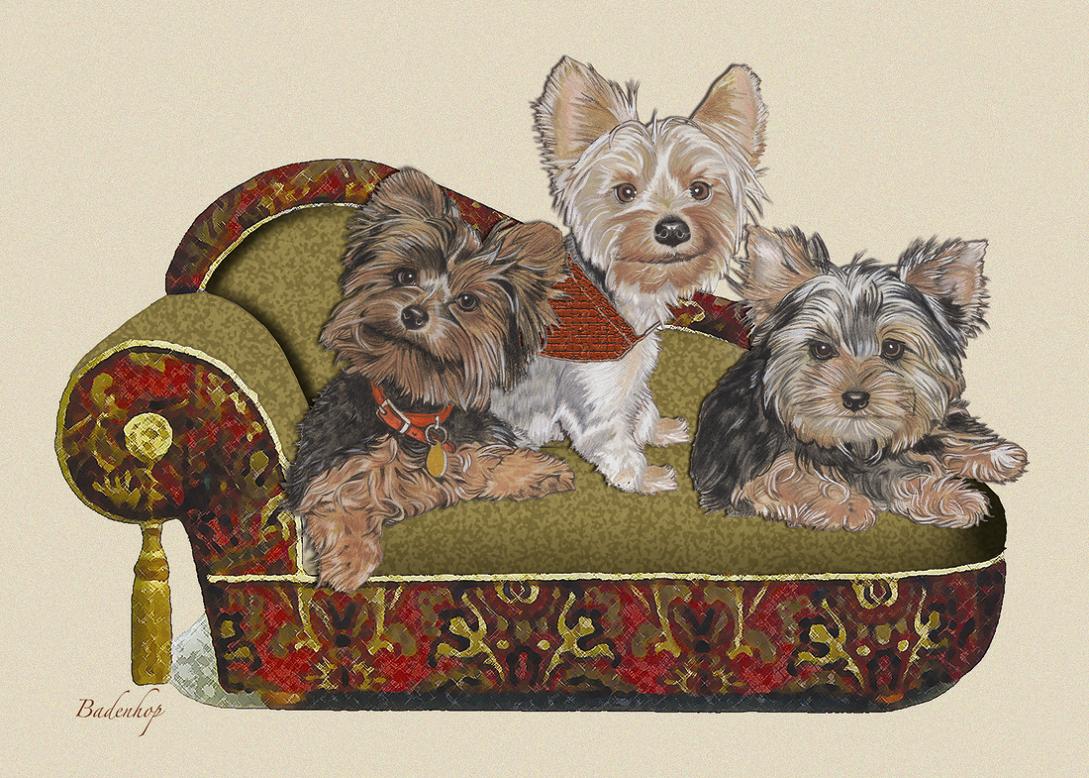 click here to view larger image of Three Little Yorkies (hand painted canvases)