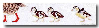 click here to view larger image of Duck Directors Chair back (hand painted canvases)