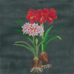 click here to view larger image of Giant Amaryllis (hand painted canvases)
