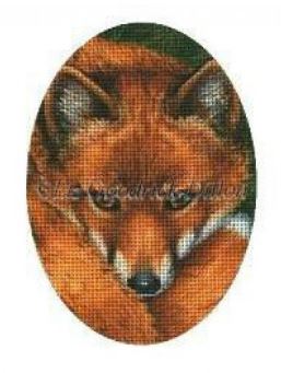Red Fox Face - 18ct hand painted canvases 
